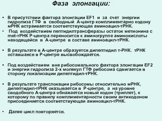 Фаза элонгации: В присутствии фактора элонгации ЕF1 и за счет энергии