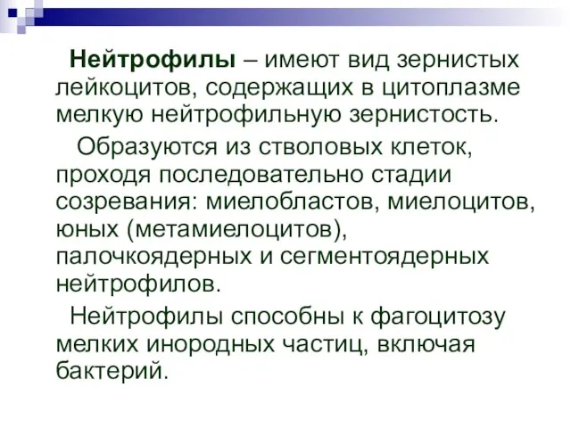 Нейтрофилы – имеют вид зернистых лейкоцитов, содержащих в цитоплазме мелкую нейтрофильную