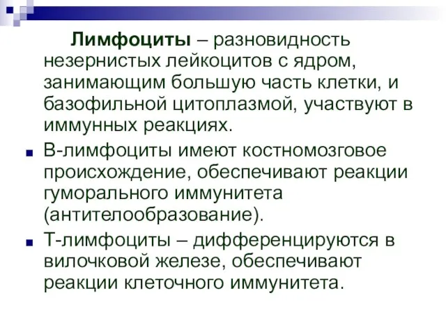 Лимфоциты – разновидность незернистых лейкоцитов с ядром, занимающим большую часть клетки,