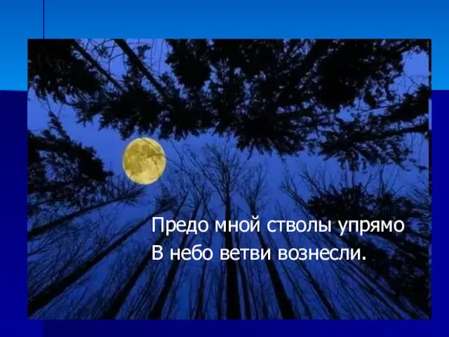 Предо мной стволы упрямо В небо ветви вознесли.