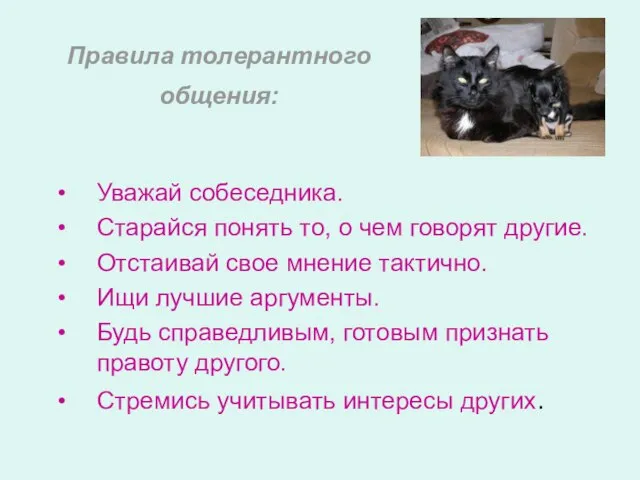 Правила толерантного общения: Уважай собеседника. Старайся понять то, о чем говорят