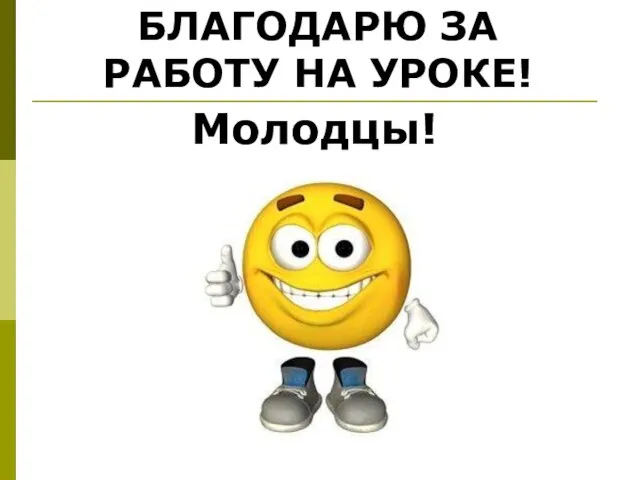 Молодцы! БЛАГОДАРЮ ЗА РАБОТУ НА УРОКЕ!