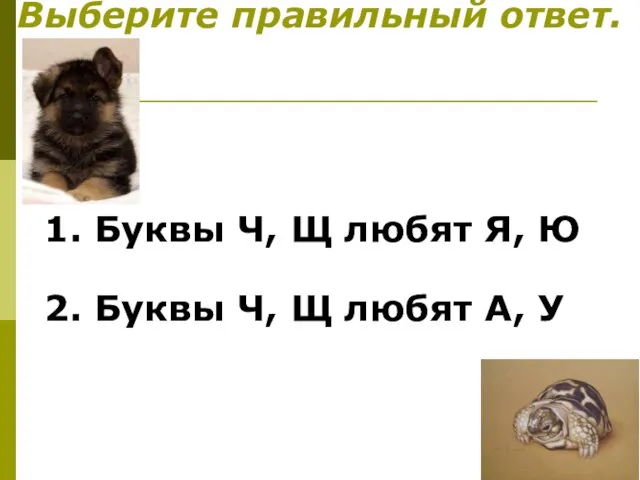 Выберите правильный ответ. 1. Буквы Ч, Щ любят Я, Ю 2.