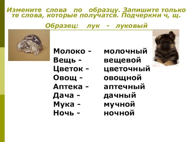 Измените слова по образцу. Запишите только те слова, которые получатся. Подчеркни