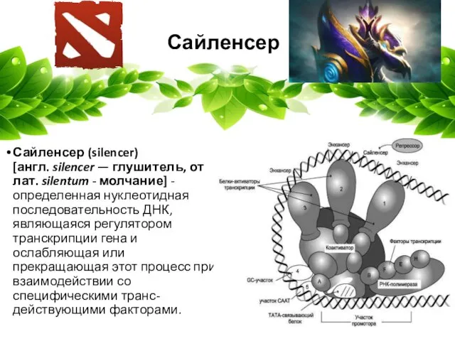 Сайленсер Сайленсер (silencer) [англ. silencer — глушитель, от лат. silentum -