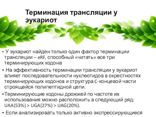 Терминация трансляции у эукариот У эукариот найден только один фактор терминации