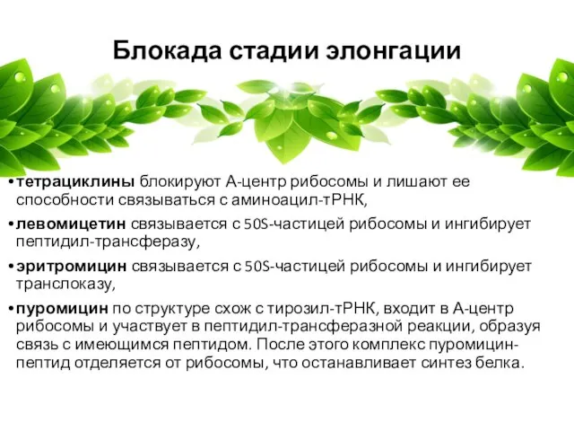 Блокада стадии элонгации тетрациклины блокируют А-центр рибосомы и лишают ее способности