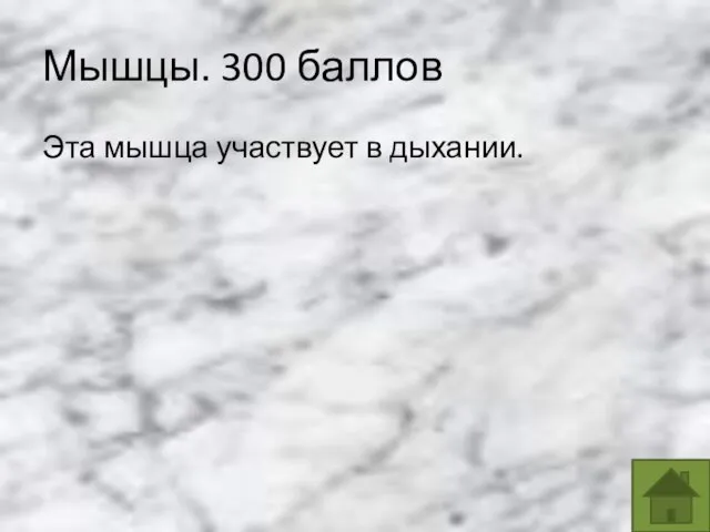 Мышцы. 300 баллов Эта мышца участвует в дыхании.