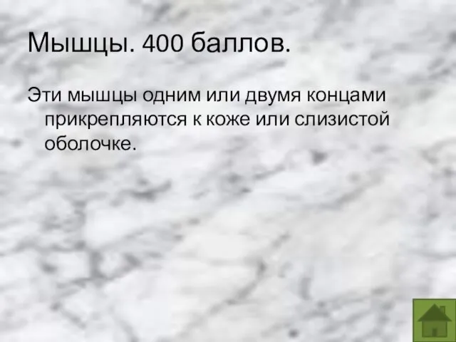 Эти мышцы одним или двумя концами прикрепляются к коже или слизистой оболочке. Мышцы. 400 баллов.