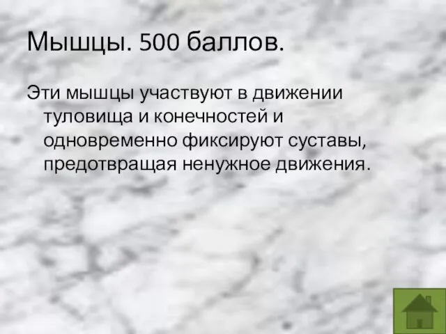 Мышцы. 500 баллов. Эти мышцы участвуют в движении туловища и конечностей