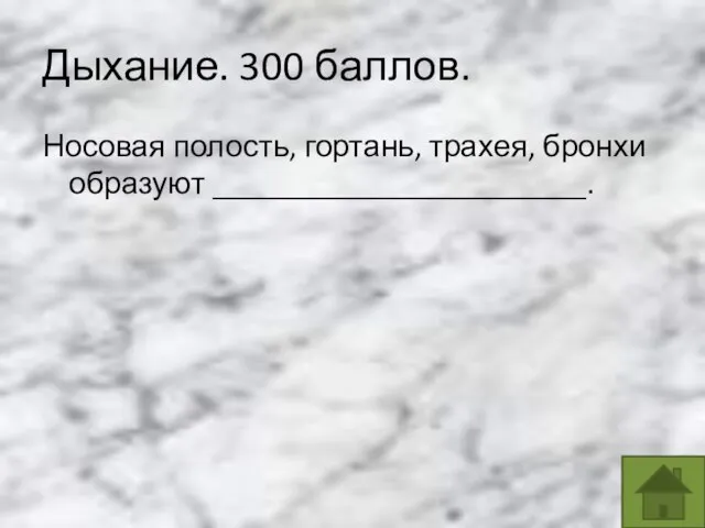 Дыхание. 300 баллов. Носовая полость, гортань, трахея, бронхи образуют ________________________.