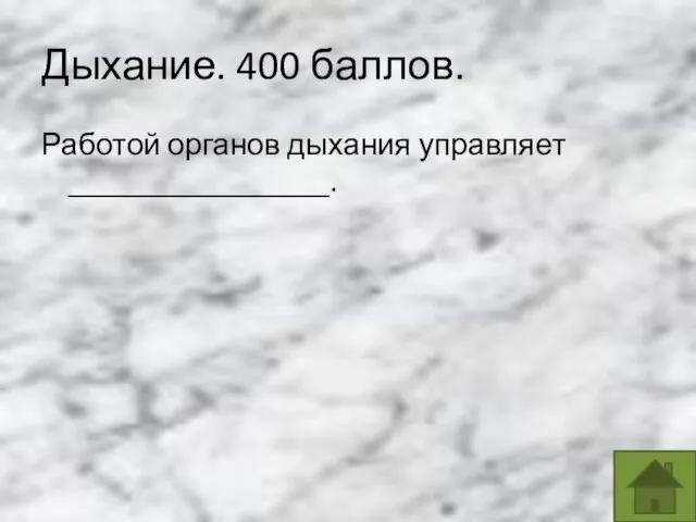 Дыхание. 400 баллов. Работой органов дыхания управляет _________________.