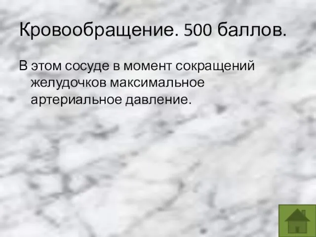 Кровообращение. 500 баллов. В этом сосуде в момент сокращений желудочков максимальное артериальное давление.