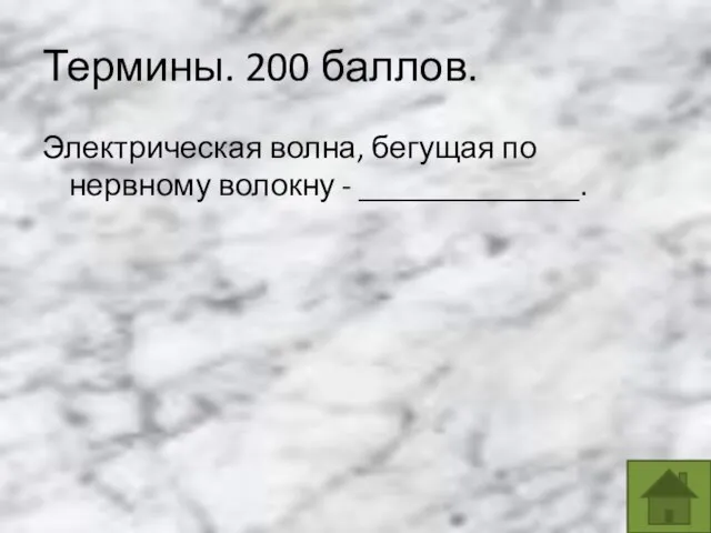 Термины. 200 баллов. Электрическая волна, бегущая по нервному волокну - ______________.