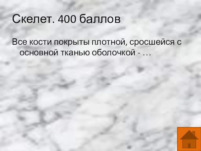 Скелет. 400 баллов Все кости покрыты плотной, сросшейся с основной тканью оболочкой - …