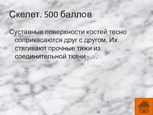 Скелет. 500 баллов Суставные поверхности костей тесно соприкасаются друг с другом.