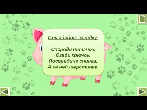 Отгадайте загадку. Спереди пятачок, Сзади крючок, Посередине спинка, А на ней шерстинка.