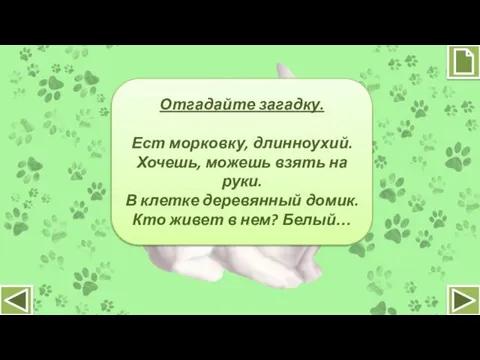 Отгадайте загадку. Ест морковку, длинноухий. Хочешь, можешь взять на руки. В