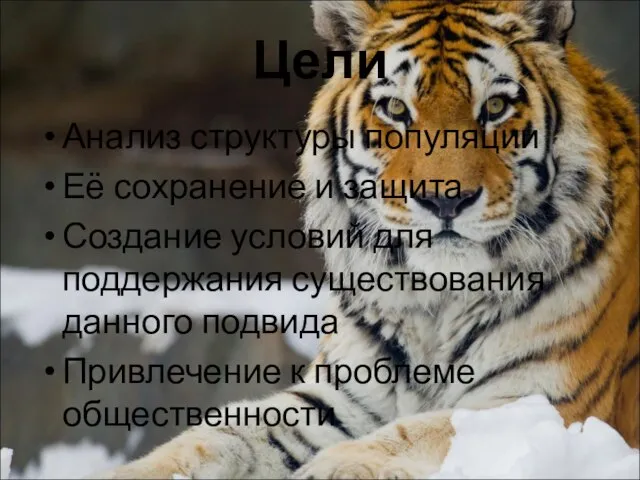 Цели Анализ структуры популяции Её сохранение и защита Создание условий для