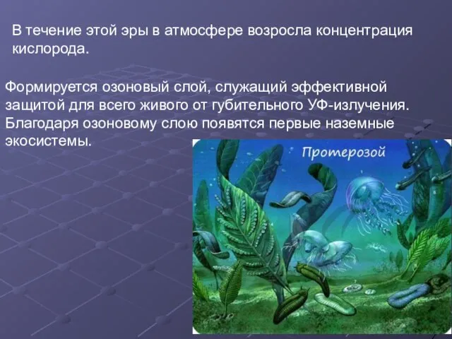 В течение этой эры в атмосфере возросла концентрация кислорода. Формируется озоновый