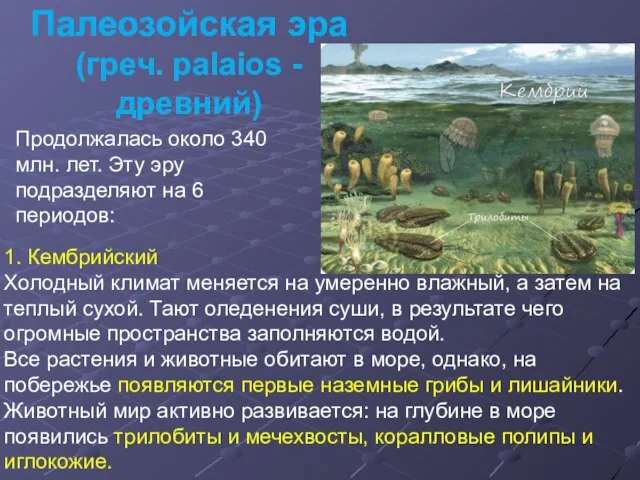 Палеозойская эра (греч. palaios - древний) Продолжалась около 340 млн. лет.