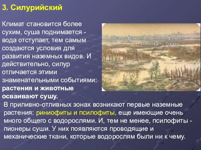 3. Силурийский Климат становится более сухим, суша поднимается - вода отступает,