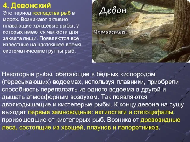 4. Девонский Это период господства рыб в морях. Возникают активно плавающие