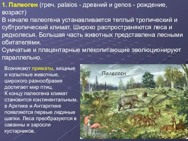 1. Палеоген (греч. palaios - древний и genos - рождение, возраст)