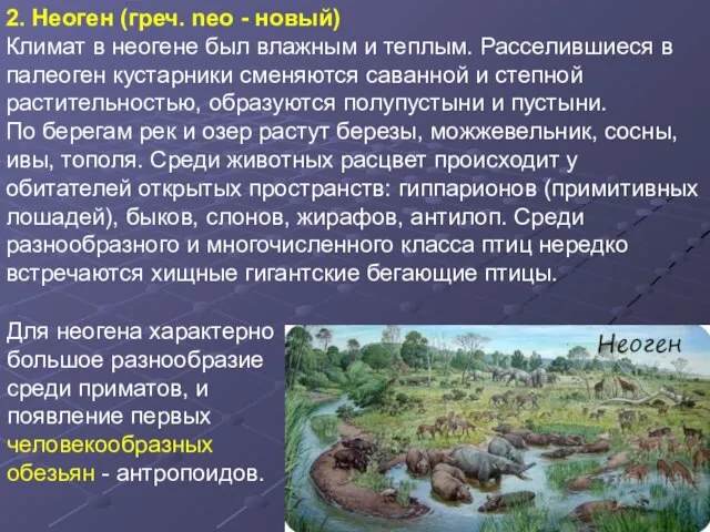 2. Неоген (греч. neo - новый) Климат в неогене был влажным