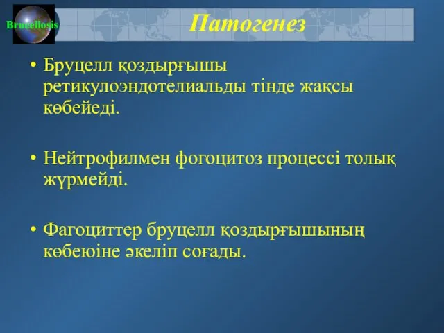 Патогенез Бруцелл қоздырғышы ретикулоэндотелиальды тінде жақсы көбейеді. Нейтрофилмен фогоцитоз процессі толық