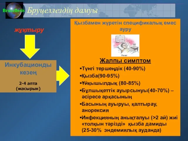 Бруцеллездің дамуы жұқтыру Қызбамен жүретін спецификалық емес ауру Жалпы симптом Түнгі