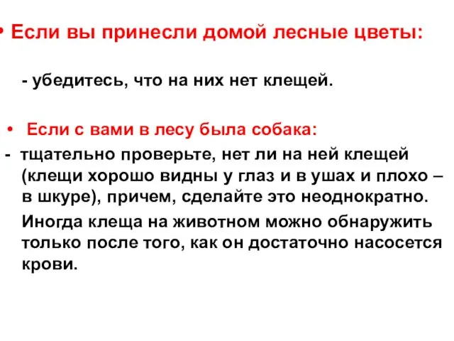 Если вы принесли домой лесные цветы: - убедитесь, что на них