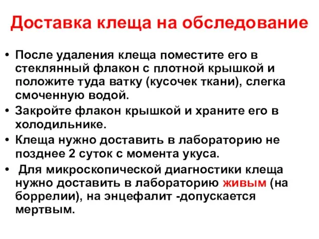 Доставка клеща на обследование После удаления клеща поместите его в стеклянный