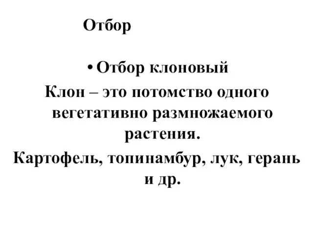 Отбор Отбор клоновый Клон – это потомство одного вегетативно размножаемого растения.