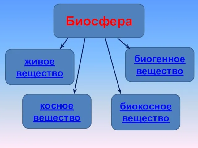 Биосфера живое вещество биогенное вещество косное вещество биокосное вещество