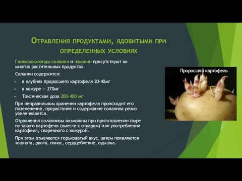 Отравления продуктами, ядовитыми при определенных условиях Гликоалколоиды соланин и чаконин присутствуют