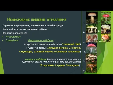 Немикробные пищевые отравления Отравления продуктами, ядовитыми по своей природе Чаще наблюдаются