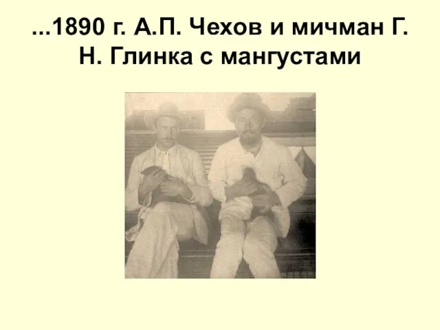 ...1890 г. А.П. Чехов и мичман Г.Н. Глинка с мангустами