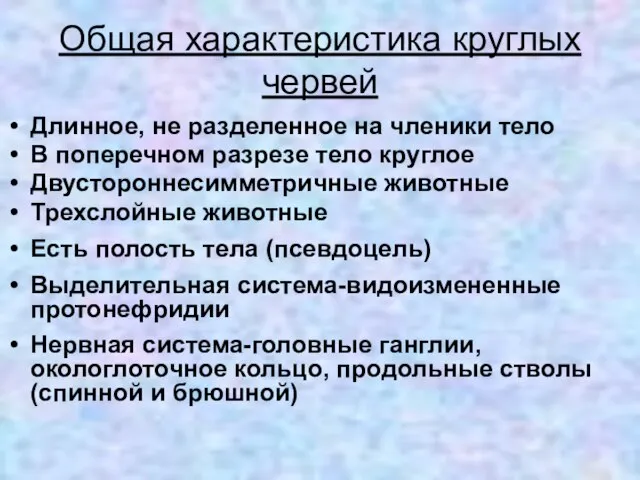 Общая характеристика круглых червей Длинное, не разделенное на членики тело В