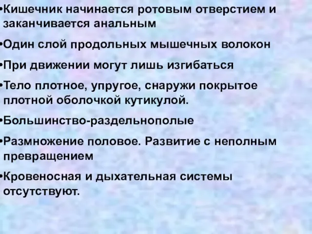 Кишечник начинается ротовым отверстием и заканчивается анальным Один слой продольных мышечных