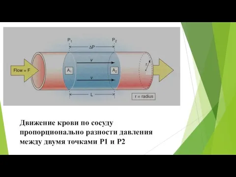 Движение крови по сосуду пропорционально разности давления между двумя точками Р1 и Р2