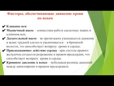 Факторы, обеспечивающие движение крови по венам Клапаны вен Мышечный насос –