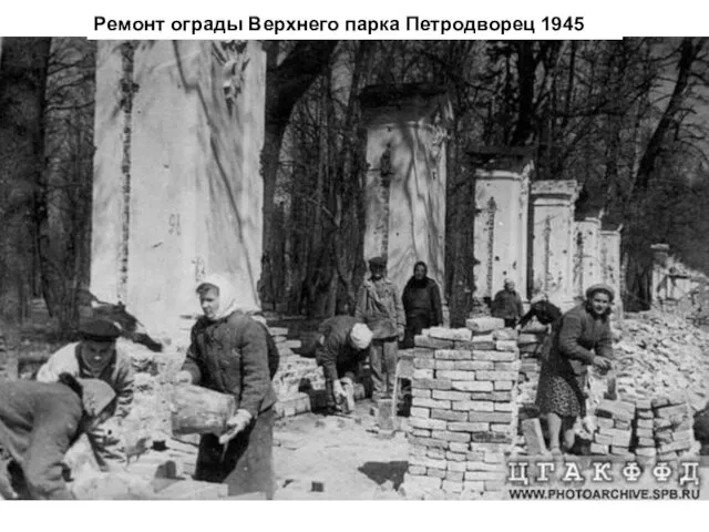 Ремонт ограды Верхнего парка Петродворец 1945