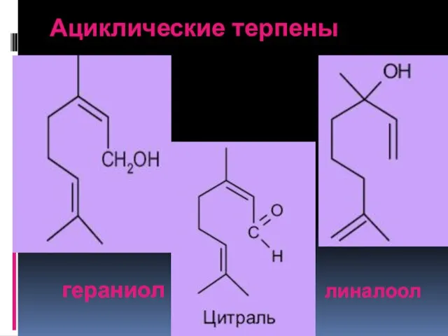 Ациклические терпены гераниол линалоол