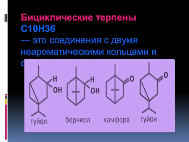 Бициклические терпены С10Н36 — это соединения с двумя неароматическими кольцами и одной двойной связью