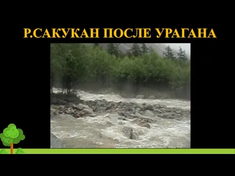 Р.САКУКАН ПОСЛЕ УРАГАНА