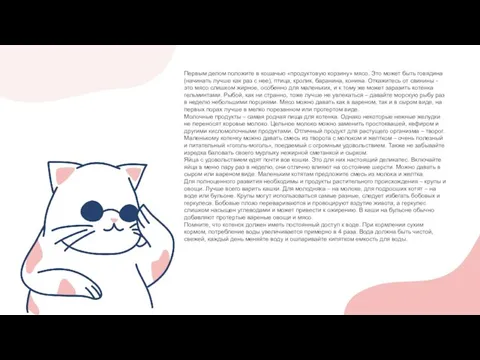 Первым делом положите в кошачью «продуктовую корзину» мясо. Это может быть