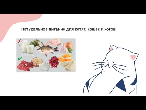 Натуральное питание для котят, кошек и котов