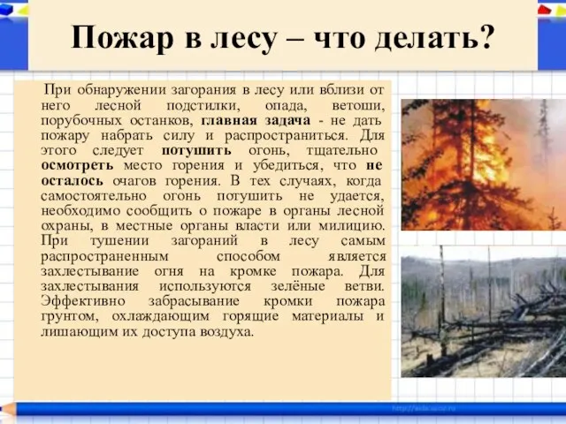 Пожар в лесу – что делать? При обнаружении загорания в лесу