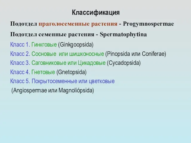 Классификация Подотдел праголосеменные растения - Progymnospermae Подотдел семенные растения - Spermatophytina